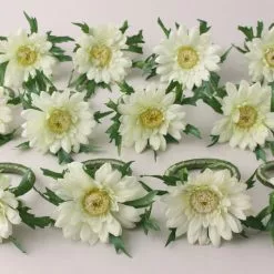 Dunelm Set Of 12 Gerbera Napkin Rings 7cm 7 Dunelm Set Of 12 Gerbera Napkin Rings 7cm -Dune Room Furniture Shop 1000182744 alt02