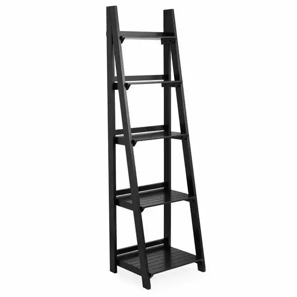 Dunelm Nautical Black Ladder Shelves 6 Dunelm Nautical Black Ladder Shelves - Image 4