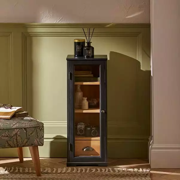 Natural History Museum Small Slim Display Cabinet 3 Natural History Museum Small Slim Display Cabinet