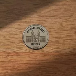 Natural History Museum Small Glazed Display Cabinet 9 Natural History Museum Small Glazed Display Cabinet -Dune Room Furniture Shop 30756116 alt03