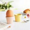 Dunelm Set Of 2 Plant Pot Egg Cups 2 Dunelm Set Of 2 Plant Pot Egg Cups -Dune Room Furniture Shop 30798435