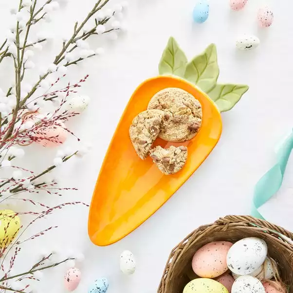 Dunelm Carrot Shaped Plate 4 Dunelm Carrot Shaped Plate - Image 2