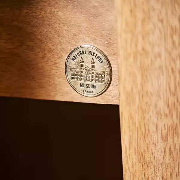 Natural History Museum Dining Table 5 Natural History Museum Dining Table - Image 3